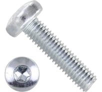 Винт ЦКИ DIN 7985, М3х6 цинк, TX10, 100 шт. 4742607