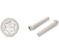 Винт ЦКИ ISO 14580, М6х16 A2, TX30, 20 шт. 57521