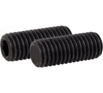 Винт установочный ЦКИ DIN 913, М12х60 45H, оксид, HEX6, 2 шт. 49630