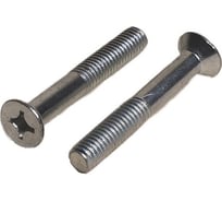 Винт ЦКИ DIN 965, М10х25 A2, Ph4, 10 шт. 40525