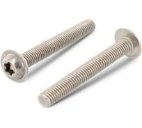 Винт ЦКИ ISO7380-2, М5х20 с фланцем, 10.9, цинк, TX25, 25 шт. 6791807