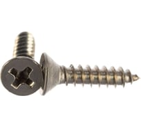 Саморез ЦКИ DIN 7982 6.3х100, остроконечный, цинк, Ph3, 10 шт. 12190