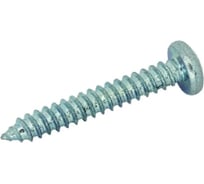 Саморез ЦКИ DIN 7981 3.9х16 ISO14585, остроконечный, A2, TX 15, 100 шт. 48482