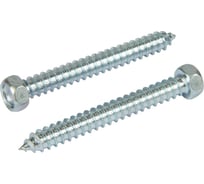 Саморез ЦКИ DIN7976 6.3х70 мм, остроконечный, цинк, SW 10, 20 шт. 1742