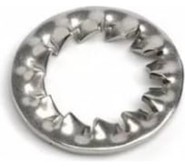 Стопорная шайба ЦКИ DIN6798 J М20 зубчатая, A2, 10 шт. 7558207