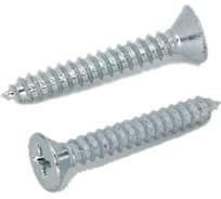 Саморез ЦКИ DIN7982 5.5х70, остроконечный, цинк, Ph 3, 10 шт. 1218507