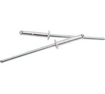 Заклепка тяговая ЦКИ Ал-Mg2.5/Ст плоск. 3.2х8 REX, 250 шт. 3710407