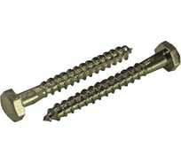 Сантехнический шуруп ЦКИ DIN571 10х160 Ц SW 17 5 шт. 3376