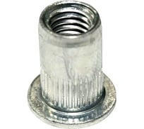 Заклепка-гайка ЦКИ М3 плоск. рифл. СТ. Ц BRALO, 25 шт. 18598