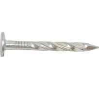 Гвозди кровельные винтовые Профикреп с увеличенной шляпкой, цинк, 3,0x35 мм, 1 кг 114252