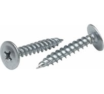 Саморез с пресс-шайбой BEFAST 4,2x51, острый наконечник, цинк, 200 шт. CSH10051200S