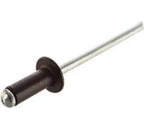 Заклепка вытяжная BEFAST DIN 7337, АЛ/СТ, RAL 8017, 4.8x12, 250 шт. ZKR80174812250S