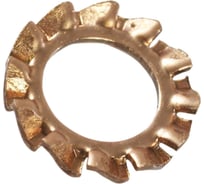 Шайба стопорная ЦКИ DIN 6798 A М6, зубчатая, бронза, 100 шт. 25080