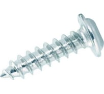 Саморез ЦКИ DIN 968 4.2x9.5, остроконечный, цинк, 100 шт. 40306