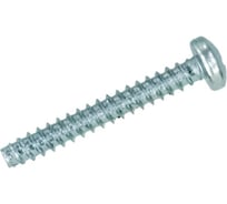 Саморез ЦКИ DIN 7981 4.8x25, притупленный, цинк, Ph2, 100 шт. 55547
