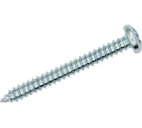 Саморез ЦКИ DIN 7981 4.2x60, остроконечный, цинк, Ph2, 100 шт. 29559