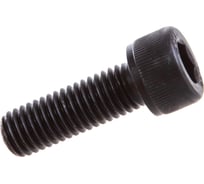 Винт ЦКИ DIN912, М6x35 мм, полная резьба, 12.9, ОКС, HEX 4.0, 20 шт. 55020