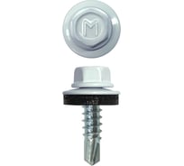 Кровельный саморез Daxmer 4,8x19 RAL 9003 сверло №2, 250 шт 00000317617