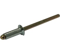 Заклепка тяговая ЦКИ Ст/Ст потайн. 4.8x8 BRALO 100 шт. 22733