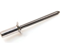 Заклепка тяговая ЦКИ Ал-Mg5.0/Ст потайн. 3.2x9.5 закрытая REX 100 шт. 55883
