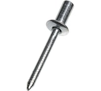 Заклепка тяговая ЦКИ Ст/Ст плоск. 4.8x9.5 закрытая BRALO 25 шт. 9138