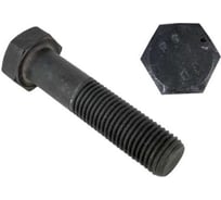 Болт ЦКИ DIN931 М10x220 10.9 оксидированный, SW 17, 2 шт. 50772