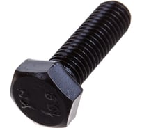 Болт ЦКИ DIN961 М12x1.25x70 10.9 оксидированный, SW 19, 5 шт. 53388