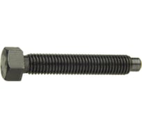 Винт ЦКИ установочный, DIN561A М12x30 8.8/22H цинк, SW 16, 5 шт. 45757