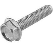 Винт резьбовыдавливающий ЦКИ DIN 7500d, м10x25, цинк, sw 13, 10 шт. 83217