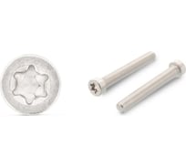 Винт ЦКИ ISO 14580 м2.5x16, А2, tx 8, 50 шт. 82875