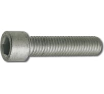 Винт резьбовыдавливающий ЦКИ DIN 7500e, м6x40, цинк, hex 5, 25 шт. 68259