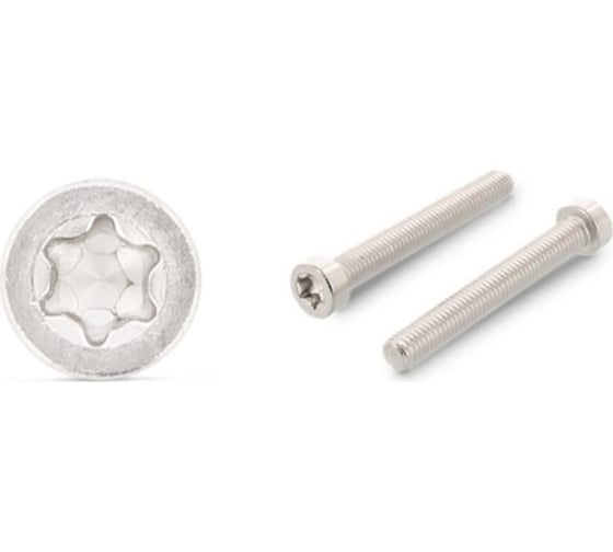 Винт ЦКИ ISO 14580 м2.5x14, А2, tx 8, 50 шт. 82874