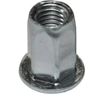 Заклепка-гайка ЦКИ м6, плоский, шестигранная, А2, bralo, 10 шт. 48306