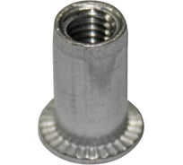 Заклепка-гайка ЦКИ м6x15.5, плоский, рифленый, сталь, цинк, rex, под пакет 0.5-3 мм, 100 шт. 77024