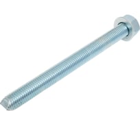 HIMTEX Шпилька для хим.анкеров 5.8 кл.пр. с гайкой и шайбой М20x220 SKA20220