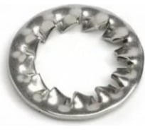 Шайба стопорная ЦКИ DIN6798 J М30 зубчатая, цинк, 5 шт. 83286