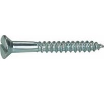 Шуруп ЦКИ DIN97 2.5x10, цинк, 50 шт. 5659