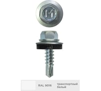 Кровельный саморез Daxmer 4,8x19 мм, RAL 9016, сверло №2, 250 шт. 00000347536