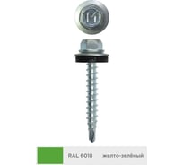 Кровельный саморез Daxmer 4,8x29 мм, RAL 6018, сверло №1, 250 шт. 00000321290