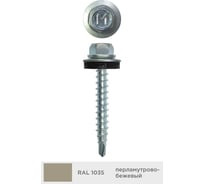 Кровельный саморез Daxmer 4,8x29 мм, RAL 1035, сверло №1, 250 шт. 00000311945
