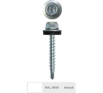 Кровельный саморез Daxmer 4,8x35 мм, RAL 9010, сверло №1, 250 шт. 00000305548