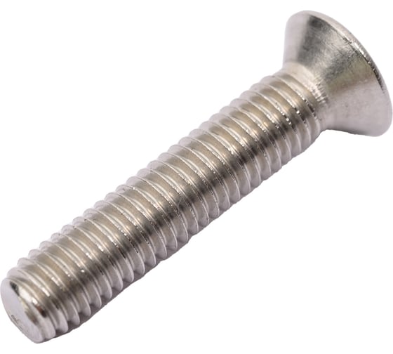 Винт ЦКИ DIN965 М5х25 нерж. A2 100 шт 58861 1