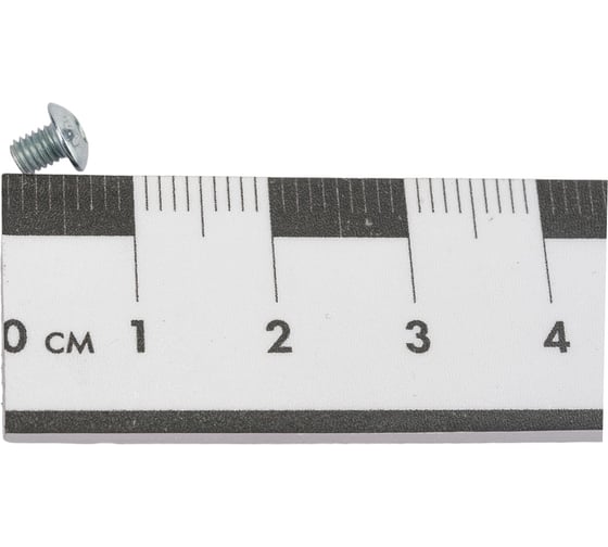 Винт ЦКИ ISO7380 М3х6 нерж. A2 1000 шт 58874