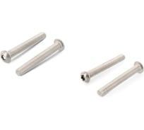 Винт ЦКИ ISO7380 М3х10 нерж. A2 1000 шт 58872