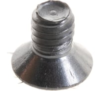 Винт ЦКИ DIN965 М2.5х4 нерж. A2 1000 шт 58833