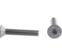 Винт ЦКИ DIN7991 М5х25 нерж. A2 200 шт 58732