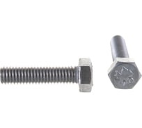 Болт ЦКИ DIN933 М5х20 нерж. A2 250 шт 58643