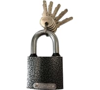 Замок навесной Вантаж 5 ключей LD1-50