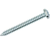 Саморез по металлу ЦКИ DIN7981 2.9х9.5 остроконечный нерж. A2 1000 шт 58929