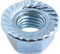 Гайка с фланцем DIN 6923 Стройбат М22 белый цинк 345370